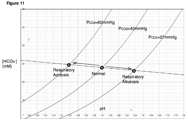 Figure 11. Alterations in ventilation may result in respiratory acidosis or respiratory alkalosis.