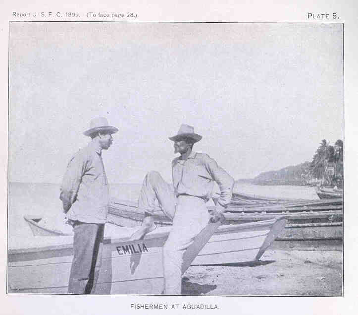 Fishermen at Aguadilla