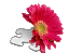 Request: Redraw as SVG. Taken by: NikNaks93 New file: Botanical template.svg