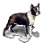 Request: Redraw as SVG Taken by: NikNaks93 New file: Dog template.svg