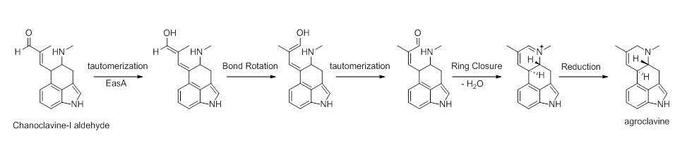 Fig3-detail look at mechanism in biosynthesis of ergocryptine