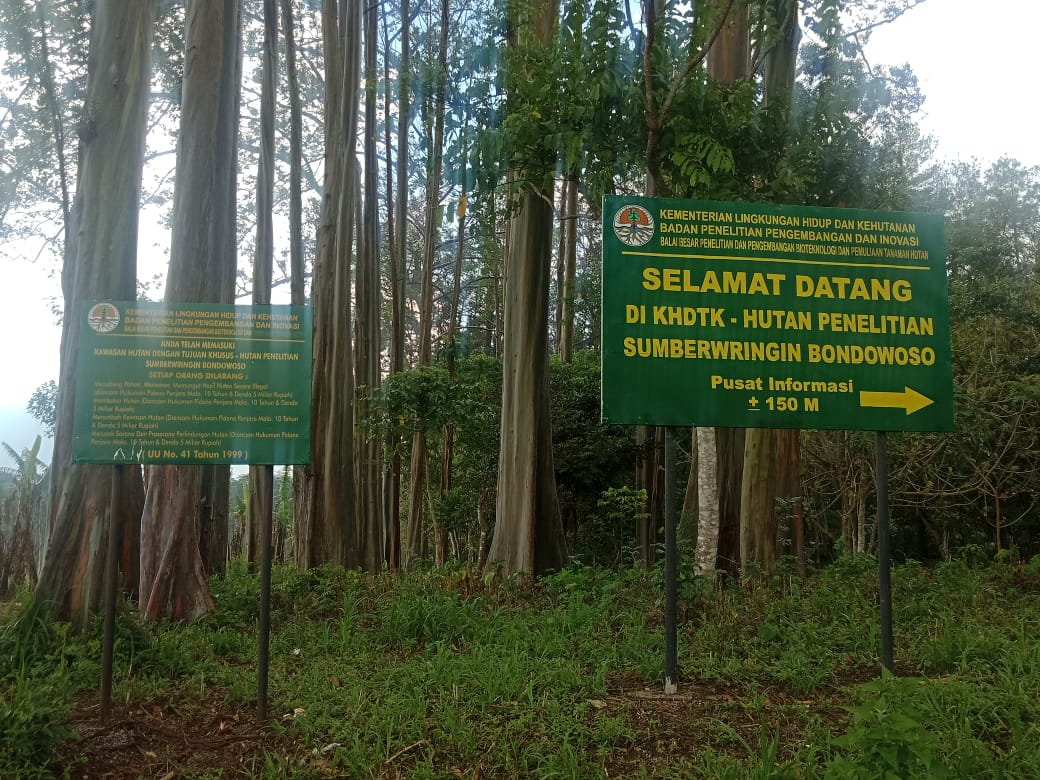 Hutan Pelangi Sumberwringin