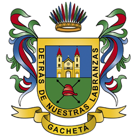 Escudo-gachet 1