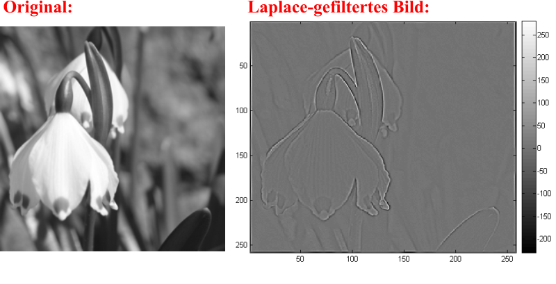 Anwendung des Laplace-Filters (einfachste Filtermaske) auf ein Testbild