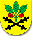 Wappen von Velká Bukovina