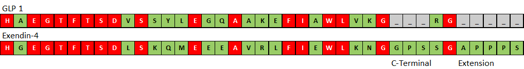 Farbiger Vergleich der Aminosäuresequenz von GLP 1 mit Exendin-4