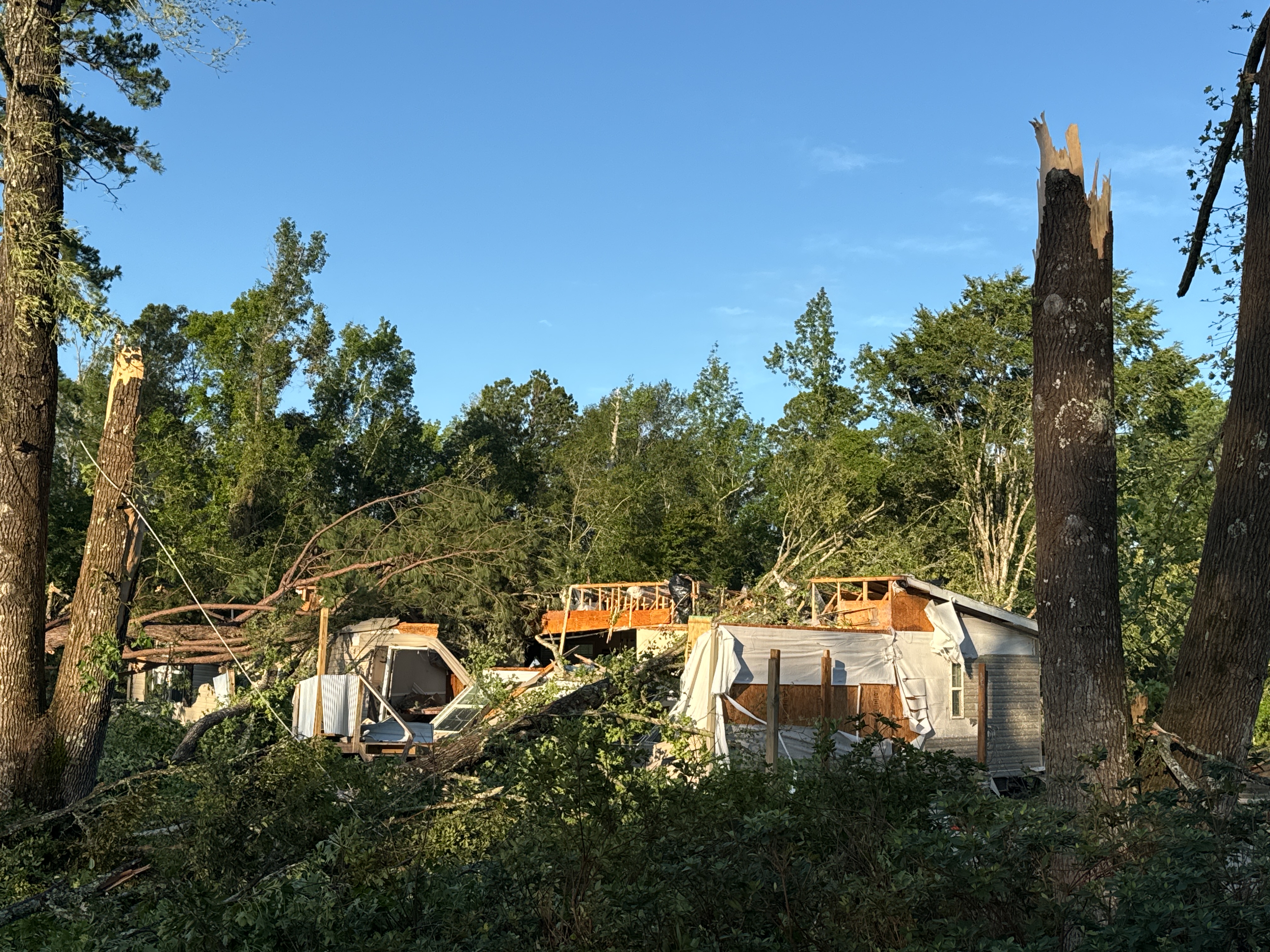 EF2 damage to a home and trees on the southwest side of Jasper, Texas.