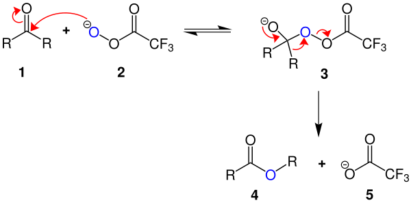 Baeyer-Villiger-Oxidation Mechanismus