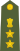 Colonel of the Indian Army