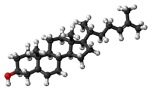 Ball-and-stick model of the desmosterol molecule