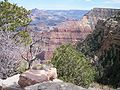 Grand Canyon Arizona