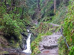 Path up by a series of waterfalls.