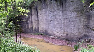 Mühlsteinbruch Kerngraben. Westliche Steinbruchwand