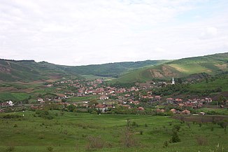 Vișea