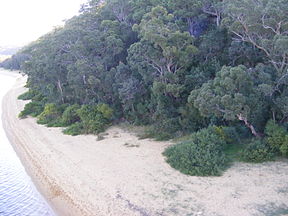 Georges-River-Nationalpark von der Alfords Point Bridge aus