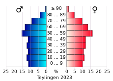 Bevolkingspiramide van de gemeente Teylingen