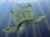 Life restoration of Archelon