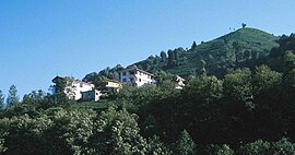 Tea plantations on the slopes of Rize (İkizdere valley).