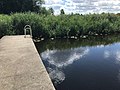 Badesteg in idyllischer Natur