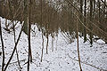 Ringwall on the perimeter of the cemetery