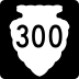 Secondary Highway 300 marker