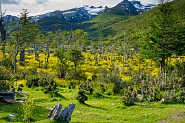 Patagonya’nın dağlık bölümü