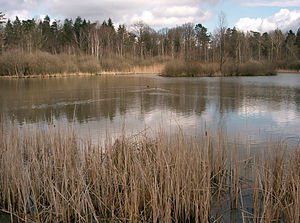 Blick auf den Gleichener See