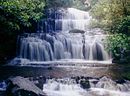 Purakaunui Falls