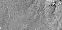 LIDAR Bild des Hochwaldes mit den darin zu erkennenden Übungslagern