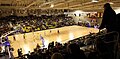 Interior of the Utena Arena during a basketball game