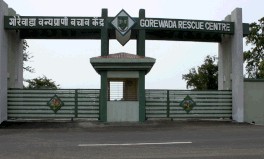 Entrance to Gorewada Rescue Centre