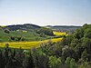 Blick von den Hörninger Sattelköpfen in Richtung Mauderode