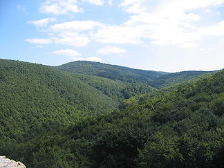 Typisches Landschaftsbild im Mecsek