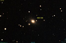 NGC 1239