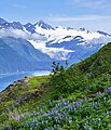 Passage Peak, Passage Canal and Billings Glacier