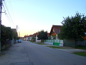 Strada de acces la cele două biserici românești din Băcia