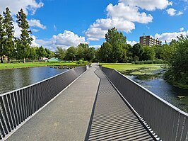 Brug over een vijver in Spinozapark