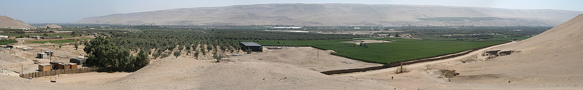 The Azapa Valley close to Arica