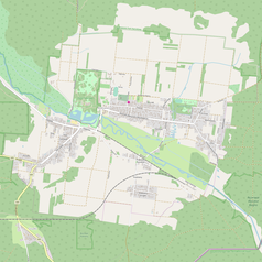 Mapa konturowa Białowieży, na dole po prawej znajduje się punkt z opisem „Białowieża”