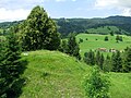 Burgstall Hindelang, westlich von Liebenstein bei Groß