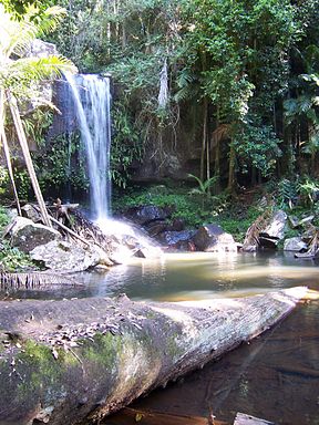 Curtis Falls