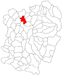 Location in Caraș-Severin County