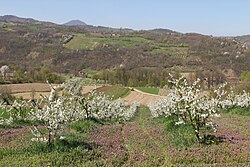 Village of Jezdina in Čačak, Serbia