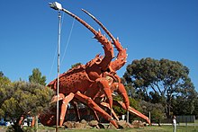 Big Lobster!