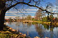 Park przy pałacu