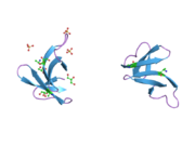 1zmi: Crystal structure of human alpha_defensin-2 (variant GLY16->D-ALA), P 32 2 1 space group )