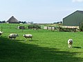 Farmland near De Waal