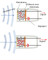 tchèque .svg