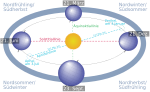 Neue Vektorgrafik