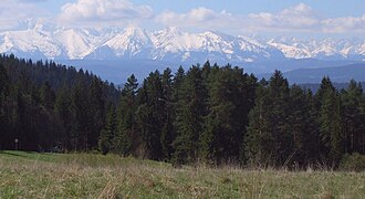 Tatry widziane z hali Majerz